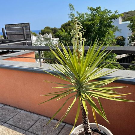 Sunny apartment Sa Boadella big solarium sea view Lloret de Mar Bagian luar foto